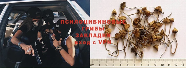 твердый Гусь-Хрустальный