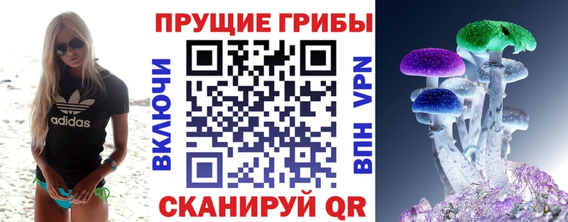 Купить закладки  Сураж  Псилоцибиновые грибы прущие грибы 