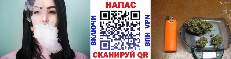 Бошки марихуана ГИДРОПОН Сураж